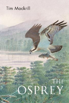 The Osprey - Tim Mackrill - cover