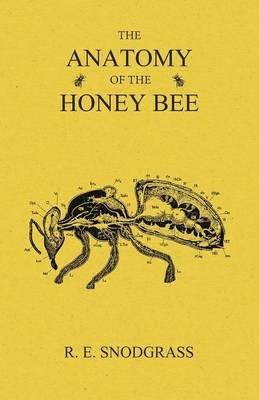 The Anatomy of the Honey Bee - R E Snodgrass - cover