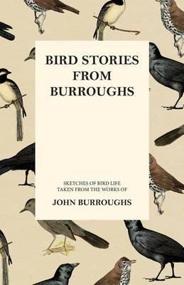 Bird Stories from Burroughs - Sketches of Bird Life Taken from the Works of John Burroughs - John Burroughs - cover