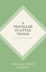 A Traveller in Little Things