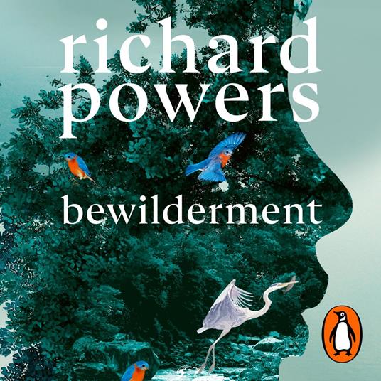 Bewilderment