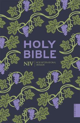 NIV Holy Bible (Hodder Classics) - New International Version - cover