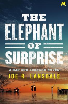 The Elephant of Surprise - Joe R. Lansdale - cover