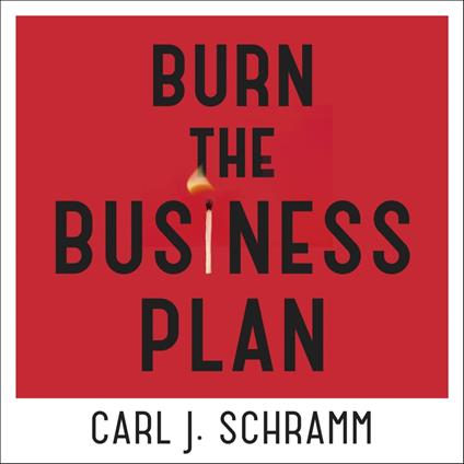 Burn The Business Plan