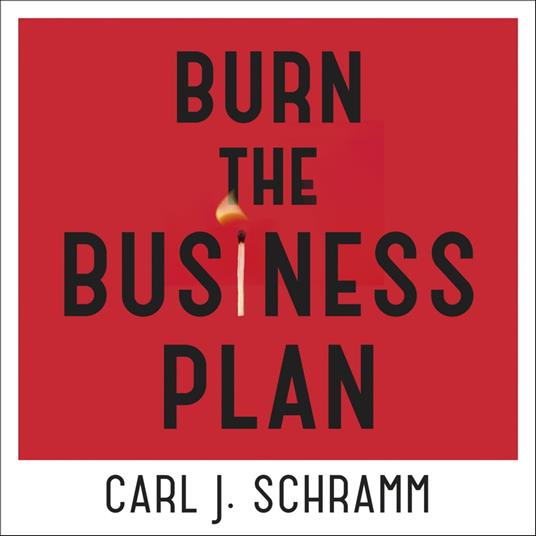 Burn The Business Plan
