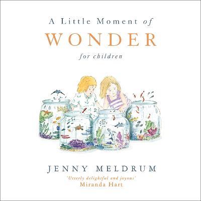 A Little Moment of Wonder for Children - Jenny Meldrum - cover