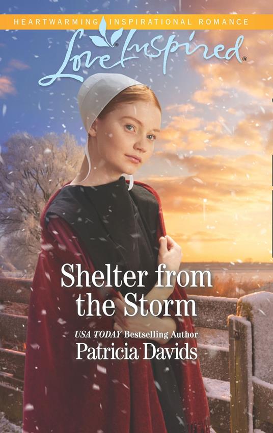 Shelter From The Storm (North Country Amish, Book 1) (Mills & Boon Love Inspired)