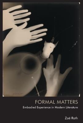 Formal Matters: Embodied Experience in Modern Literature - Zoë Roth - cover