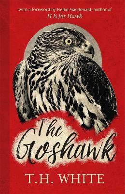The Goshawk: With a foreword by Helen Macdonald - T. H. White - cover