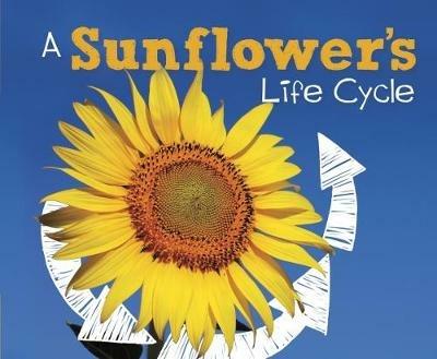 A Sunflower's Life Cycle - Mary R. Dunn - cover