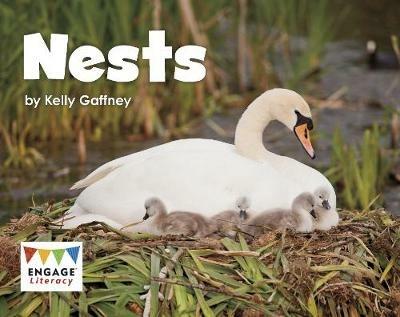 Nests - Kelly Gaffney - cover