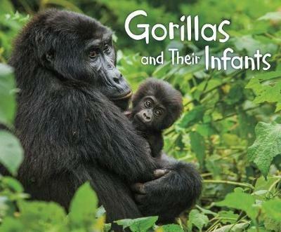 Gorillas and Their Infants - Margaret Hall - cover