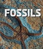 Fossils