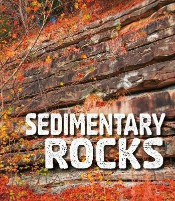 Sedimentary Rocks - Ava Sawyer - cover