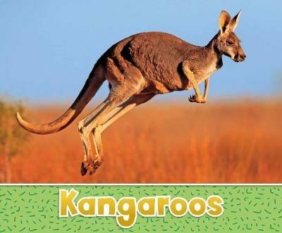 Kangaroos - Sara  Louise Kras - cover