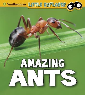 Amazing Ants - Megan Cooley Peterson - cover