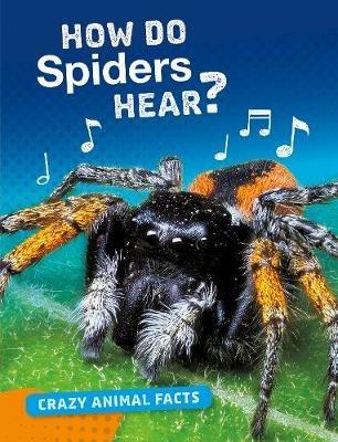 How Do Spiders Hear? - Nancy Furstinger - cover