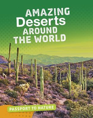 Amazing Deserts Around the World - Rachel Castro - cover