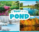 A Year in the Pond