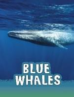 Blue Whales