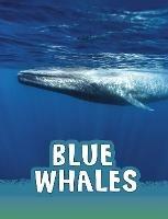 Blue Whales - Mari Schuh - cover