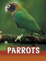 Parrots - Mari Schuh - cover