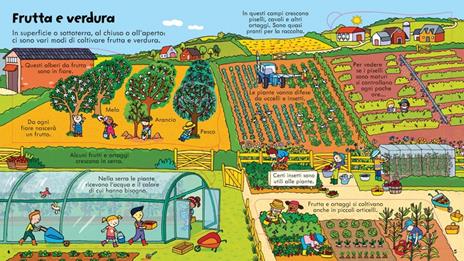 Gli alimenti. Ediz. illustrata - Emily Bone,Benedetta Giaufret,Enrica Rusinà - 4