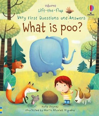 Very First Questions and Answers What is poo? - Katie Daynes - cover