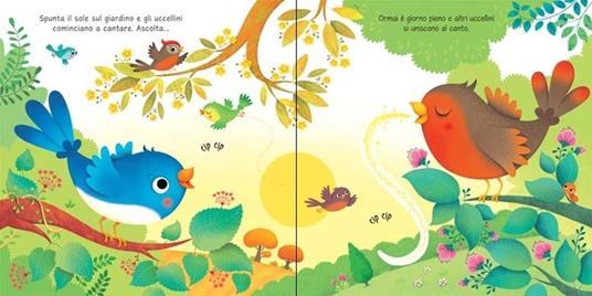 Il giardino. Ediz. illustrata - Sam Taplin,Federica Iossa - 2