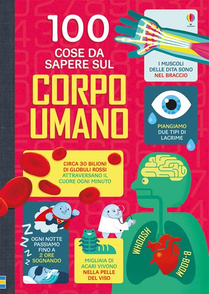 100 cose da sapere sul corpo umano. Ediz. illustrata - copertina