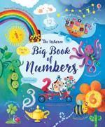 Big book of numbers. Ediz. a colori