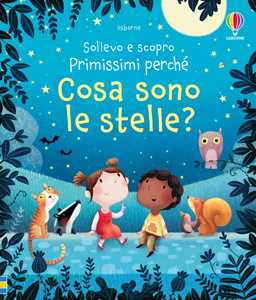 Libro Cosa sono le stelle? Ediz. a colori Katie Daynes