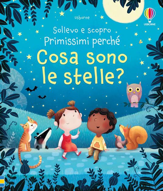 Cosa sono le stelle? Ediz. a colori - Katie Daynes - copertina
