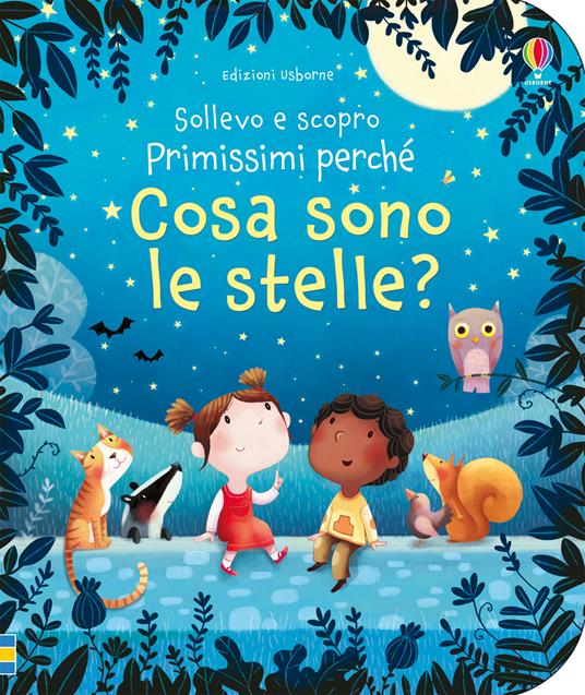 Cosa sono le stelle? Ediz. a colori - Katie Daynes - copertina