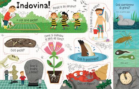 La natura. Il libro dei perché - Katie Daynes - 6