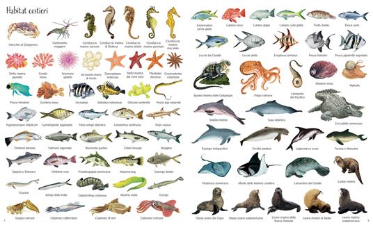 1000 meraviglie dei mari. Ediz. a colori - Nikki Dyson - 2