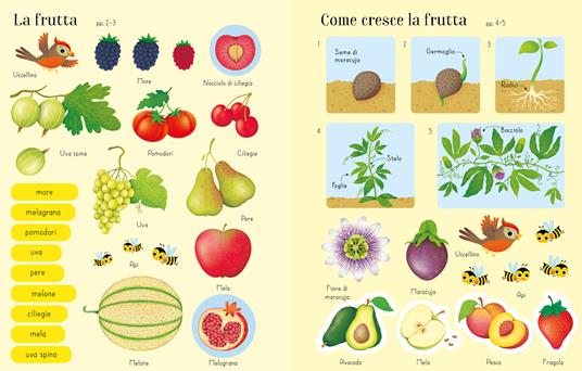 Frutta e ortaggi. Libri con adesivi. Ediz. a colori - Hannah Watson - 3
