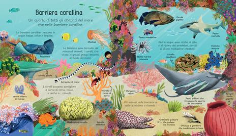 I mari e gli oceani. Ediz. a colori - Matthew Oldman - 4