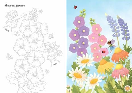 Transfer Activity Book Fairies - Abigail Wheatley - 2