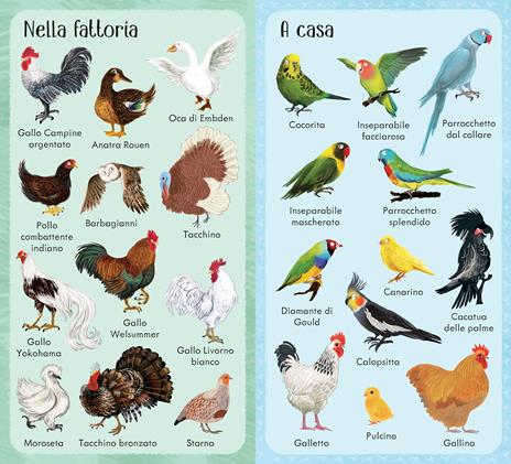 199 uccelli. Ediz. a colori - 2