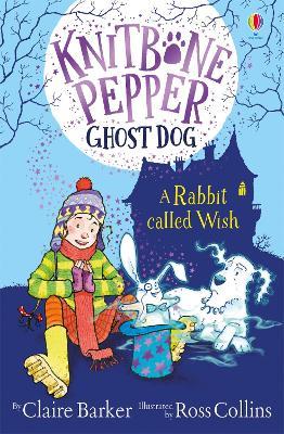 A Rabbit Called Wish - Claire Barker - cover