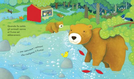 La foresta. Ediz. a colori - Anna Milbourne - 4