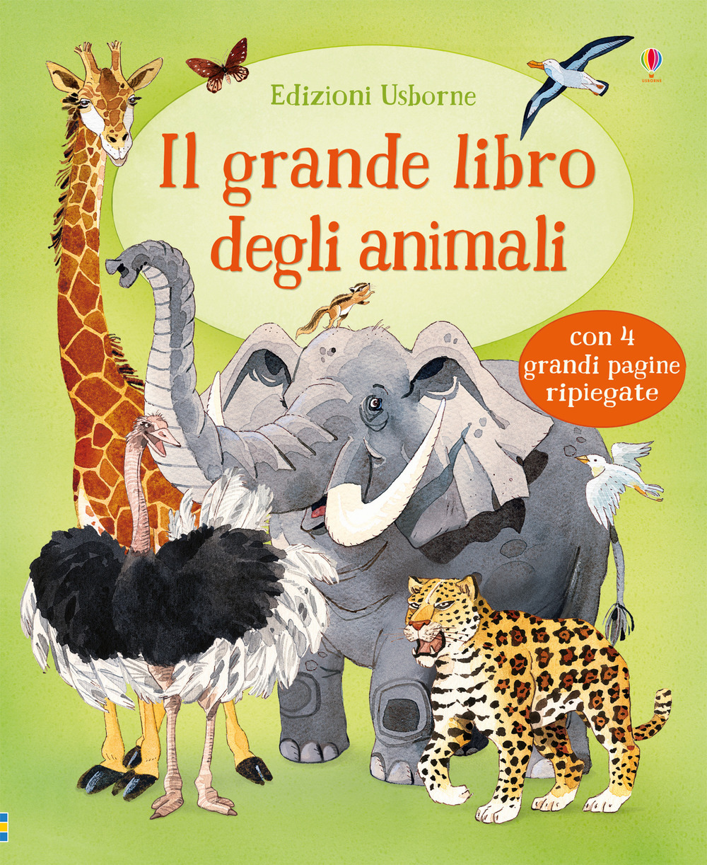 Libraccio