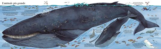 Il grande libro degli animali - Hazel Maskell - 4