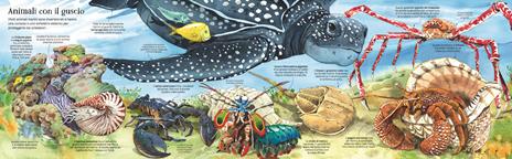 Il grande libro degli animali marini - Minna Lacey - 3