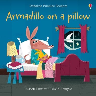 Armadillo on a pillow - Russell Punter - cover