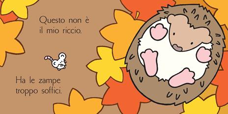 Dov'è il mio riccio? Ediz. a colori - Fiona Watt - 4