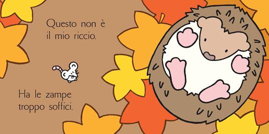 Dov'è il mio riccio? Ediz. a colori - Fiona Watt - 4