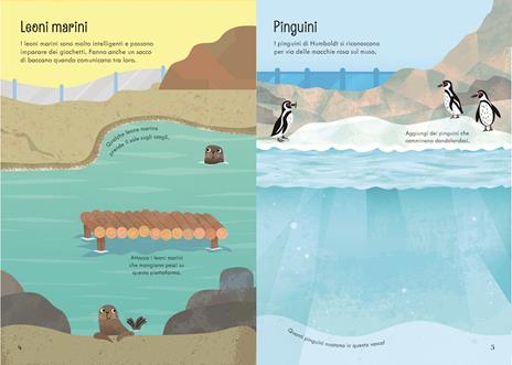 Lo zoo. Ediz. a colori - Holly Bathie - 6