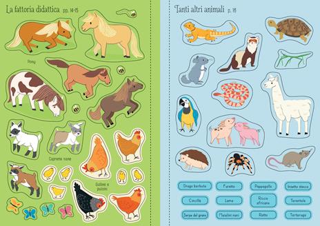 Animali da compagnia. Ediz. a colori - Hannah Watson - 4